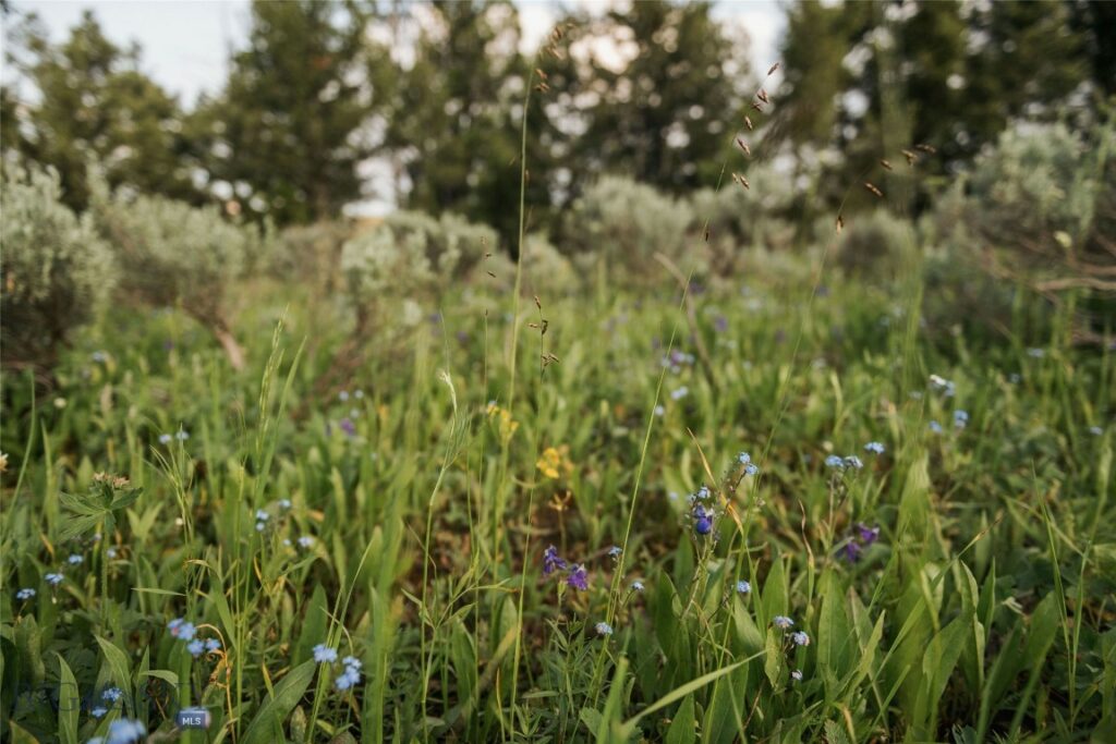 Lot 20 Charles Russell Loop, Big Sky MT 59716