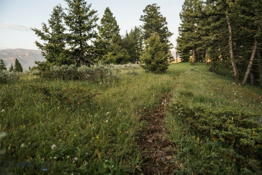 Lot 20 Charles Russell Loop, Big Sky MT 59716