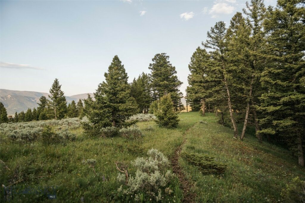 Lot 20 Charles Russell Loop, Big Sky MT 59716