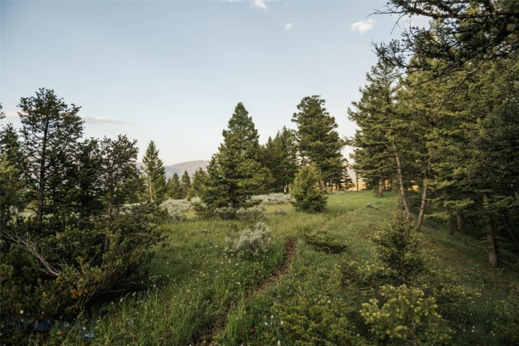 Lot 20 Charles Russell Loop, Big Sky MT 59716