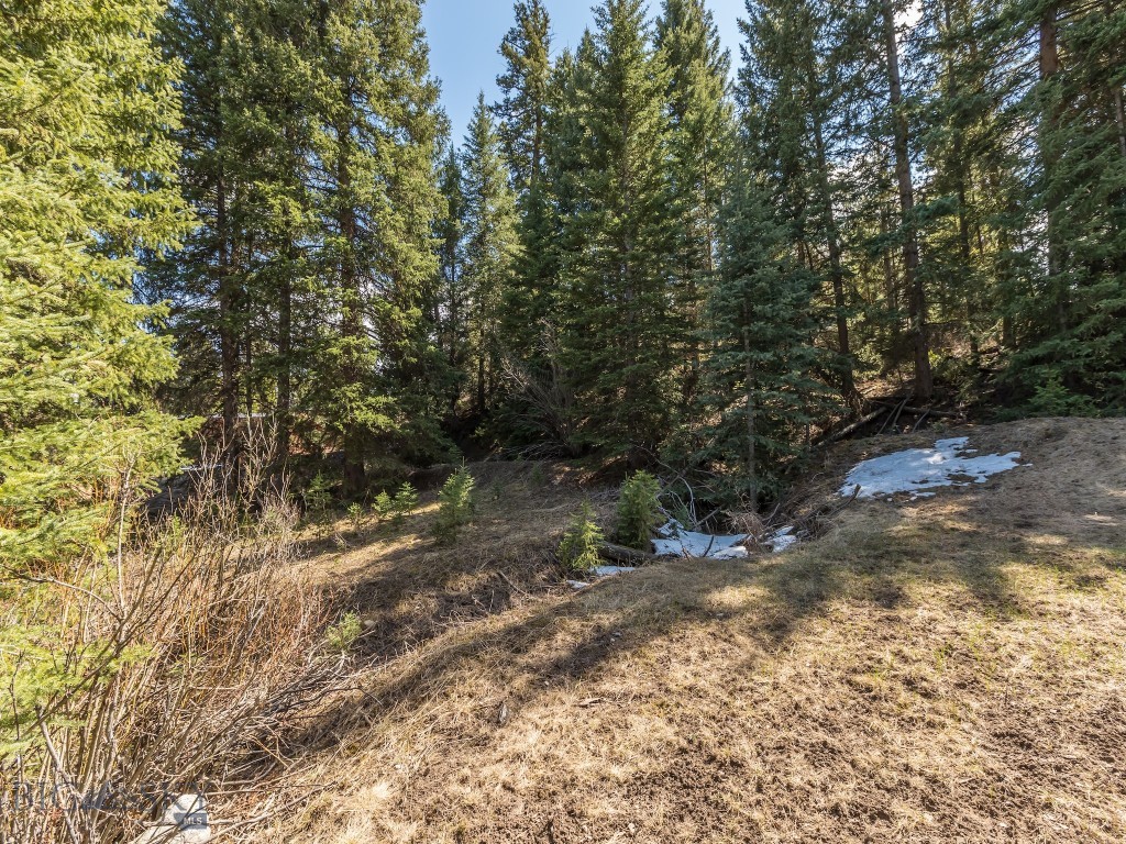 Lot 20 Two Moons Road, Big Sky MT 59716