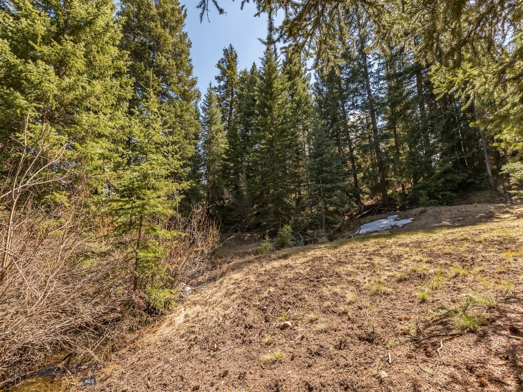 Lot 20 Two Moons Road, Big Sky MT 59716
