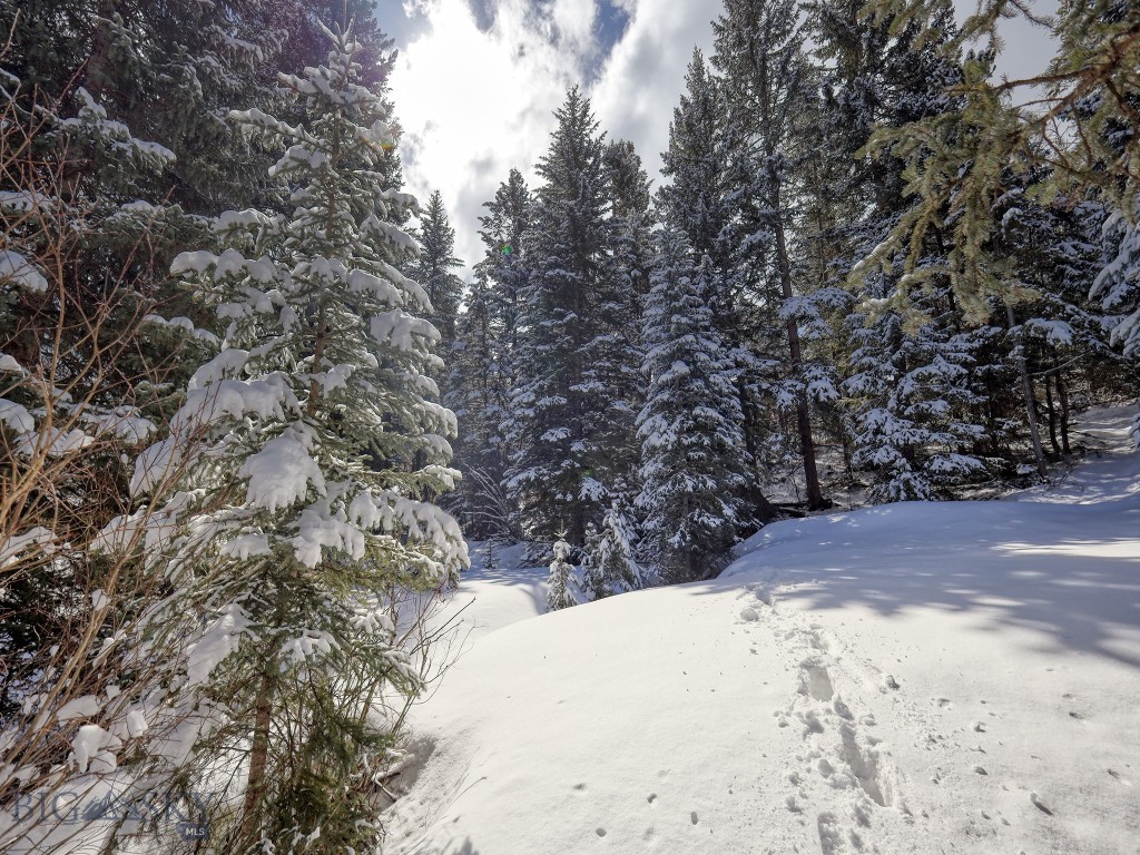 Lot 20 Two Moons Road, Big Sky MT 59716