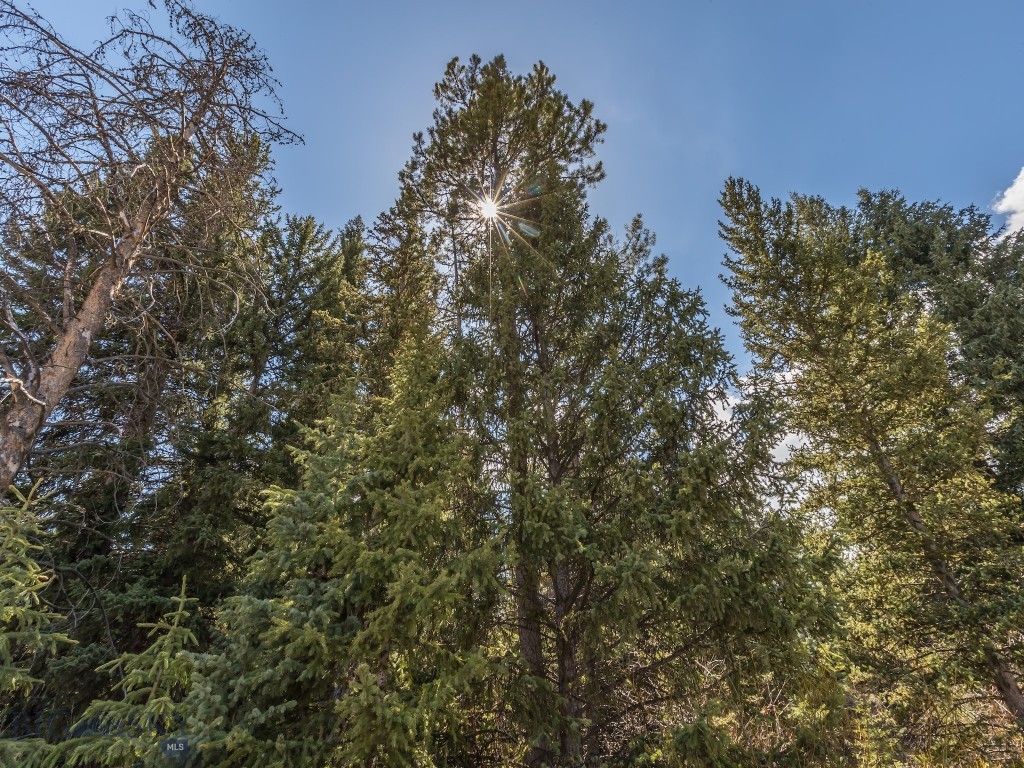 Lot 20 Two Moons Road, Big Sky MT 59716