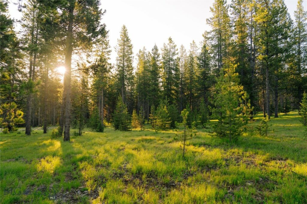 Lot 205 Outlook Trail, Big Sky MT 59716