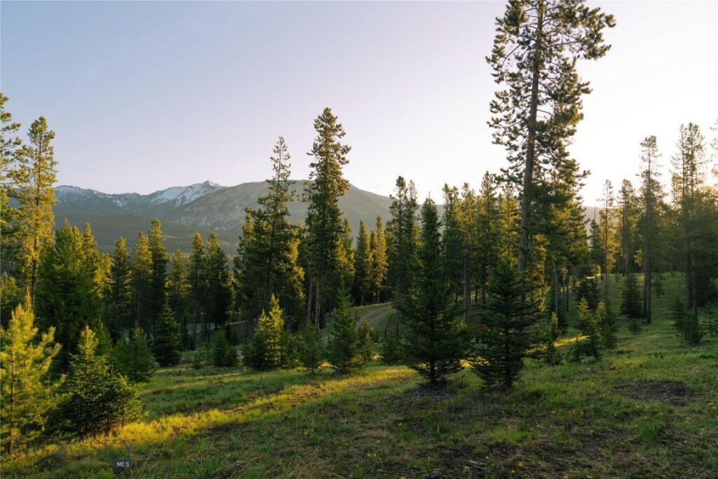 Lot 205 Outlook Trail, Big Sky MT 59716