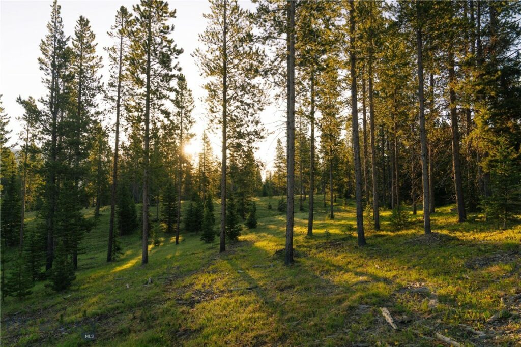 Lot 205 Outlook Trail, Big Sky MT 59716