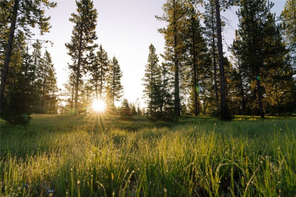 Lot 205 Outlook Trail, Big Sky MT 59716