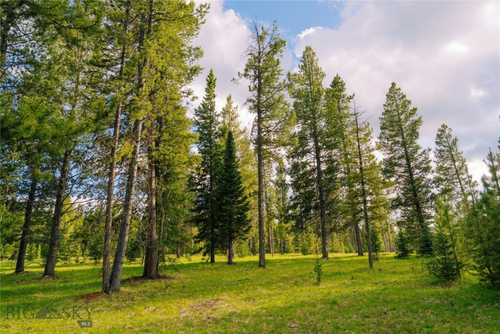 Lot 205 Outlook Trail, Big Sky MT 59716