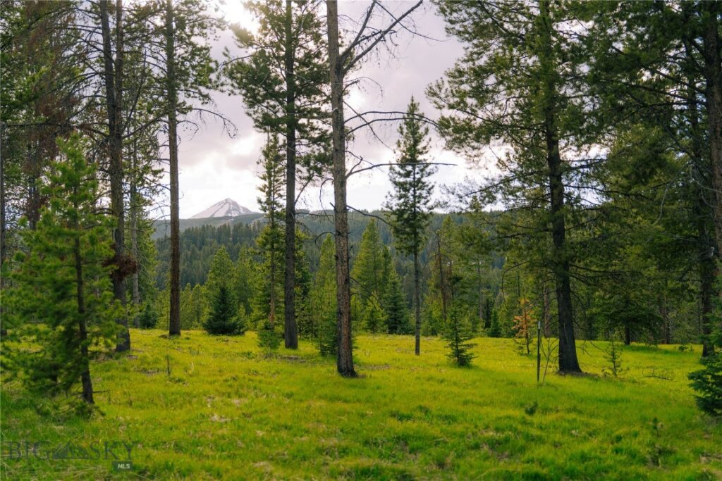 Lot 205 Outlook Trail, Big Sky MT 59716