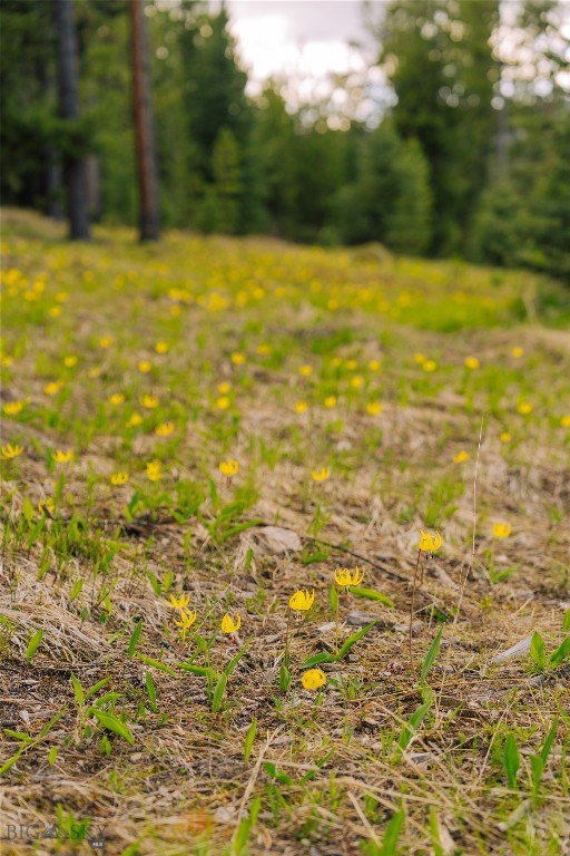 Lot 205 Outlook Trail, Big Sky MT 59716