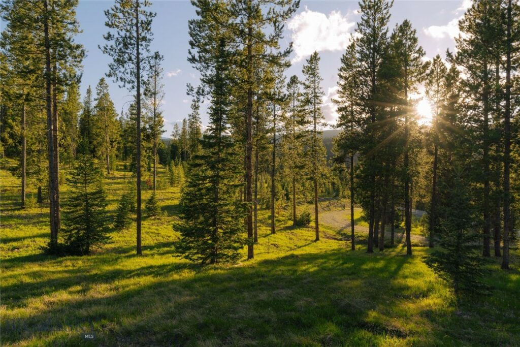 Lot 205 Outlook Trail, Big Sky MT 59716