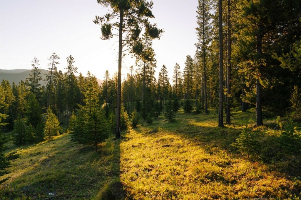 Lot 205 Outlook Trail, Big Sky MT 59716