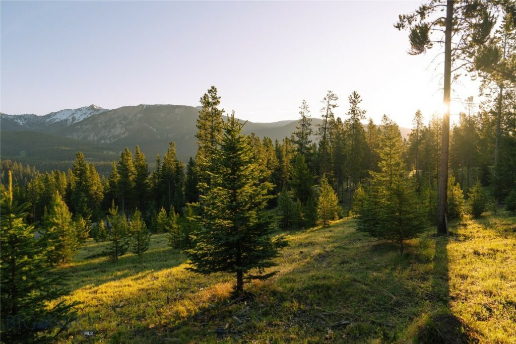 Lot 205 Outlook Trail, Big Sky MT 59716