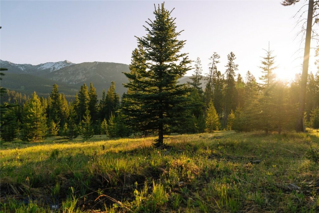Lot 205 Outlook Trail, Big Sky MT 59716