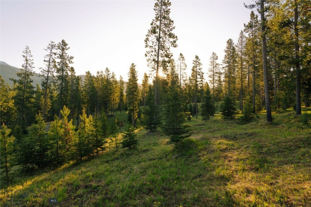 Lot 205 Outlook Trail, Big Sky MT 59716