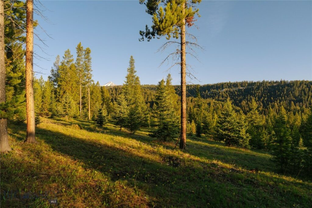 Lot 205 Outlook Trail, Big Sky MT 59716