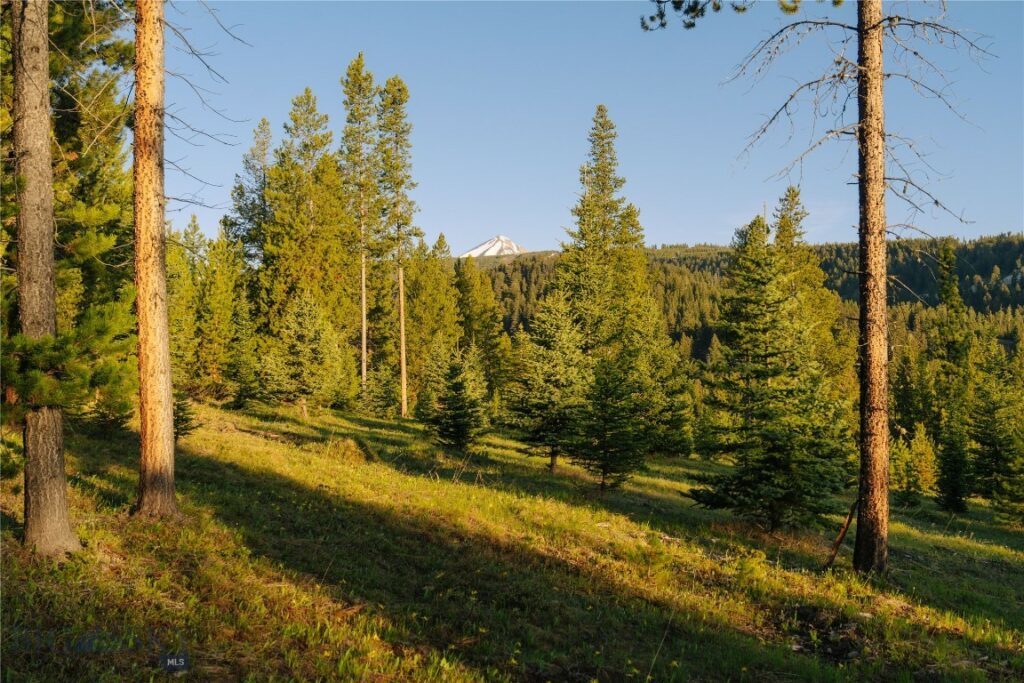 Lot 205 Outlook Trail, Big Sky MT 59716