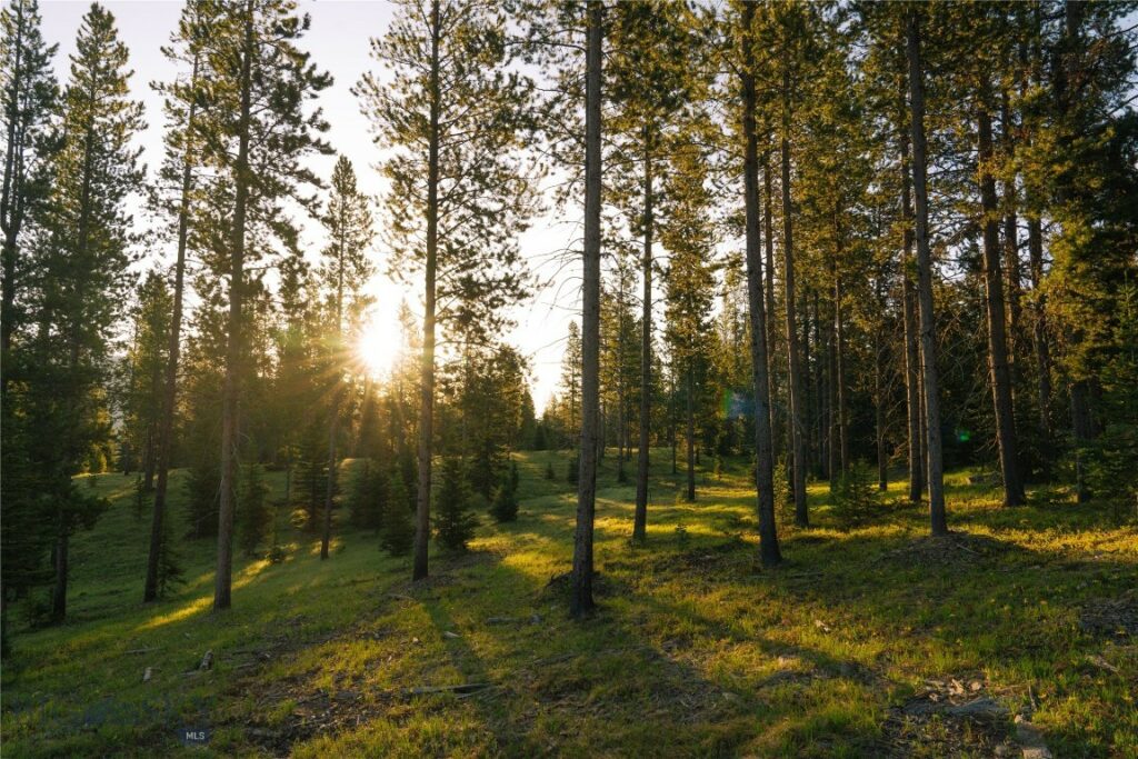 Lot 205 Outlook Trail, Big Sky MT 59716