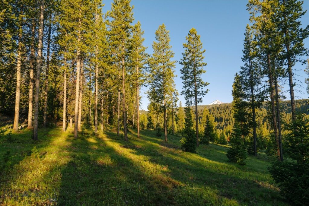 Lot 205 Outlook Trail, Big Sky MT 59716