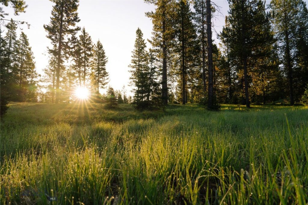 Lot 205 Outlook Trail, Big Sky MT 59716