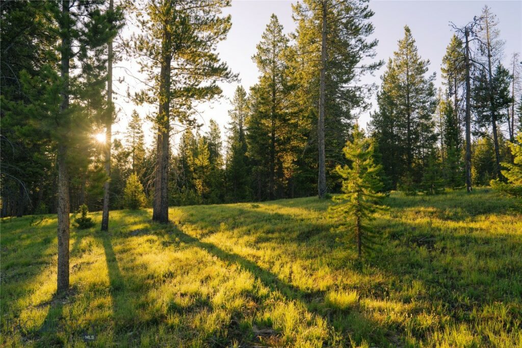 Lot 205 Outlook Trail, Big Sky MT 59716