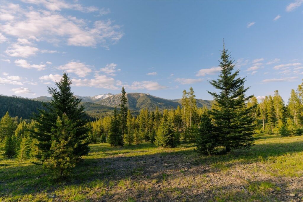 Lot 205 Outlook Trail, Big Sky MT 59716
