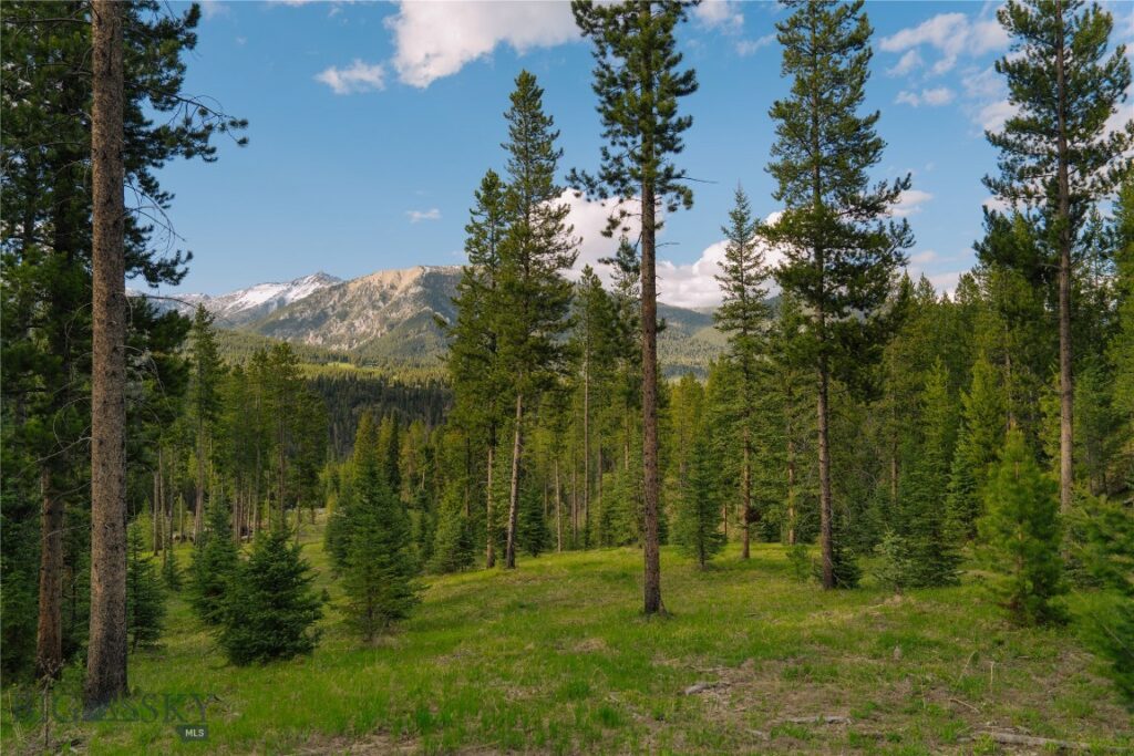 Lot 206 Outlook Trail, Big Sky MT 59716