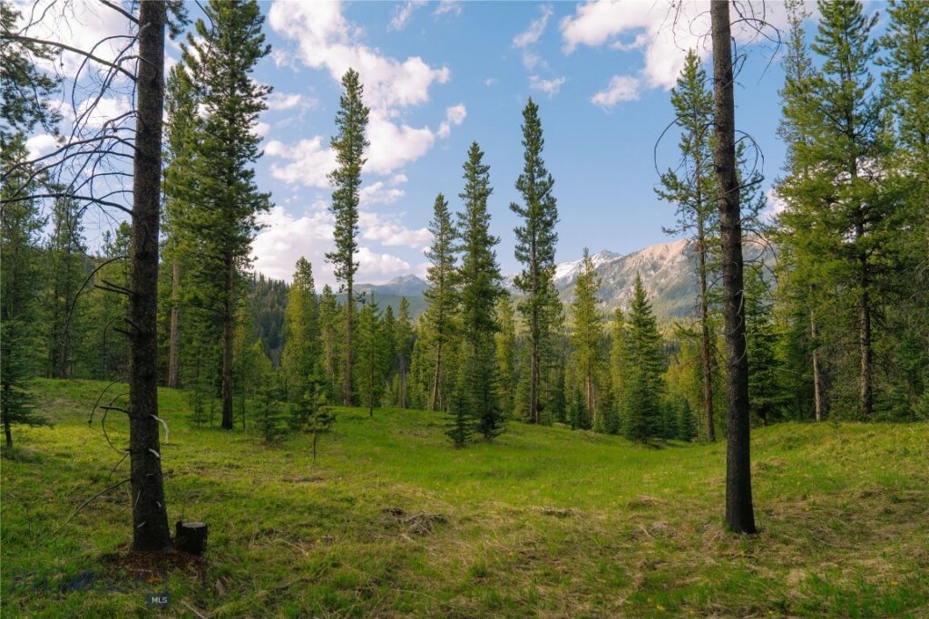 Lot 206 Outlook Trail, Big Sky MT 59716