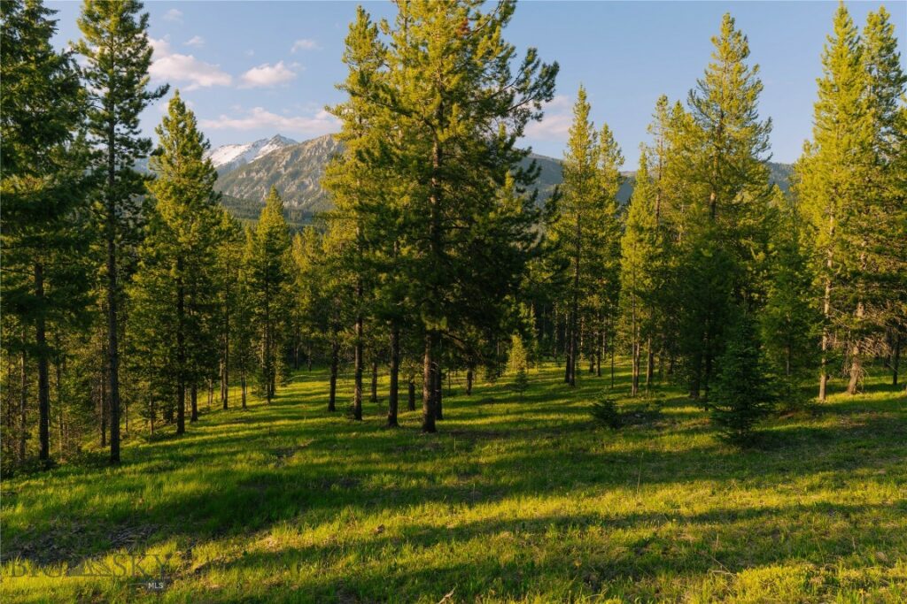 Lot 206 Outlook Trail, Big Sky MT 59716