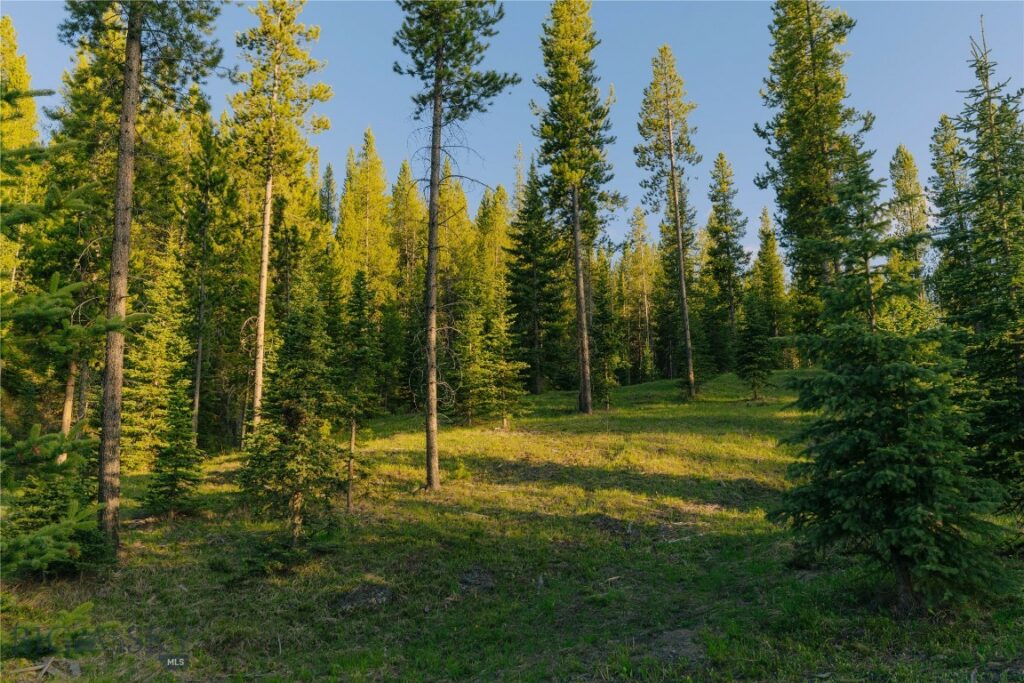 Lot 206 Outlook Trail, Big Sky MT 59716