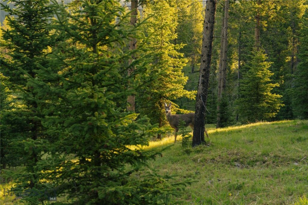 Lot 206 Outlook Trail, Big Sky MT 59716