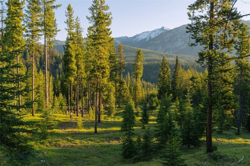Lot 206 Outlook Trail, Big Sky MT 59716