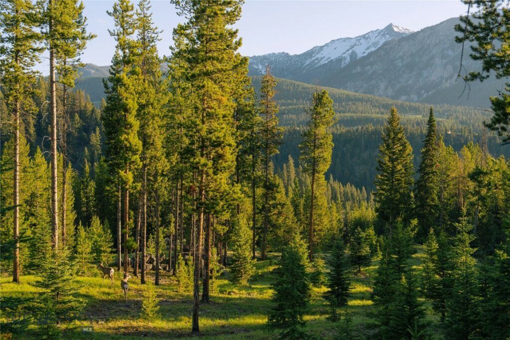 Lot 206 Outlook Trail, Big Sky MT 59716