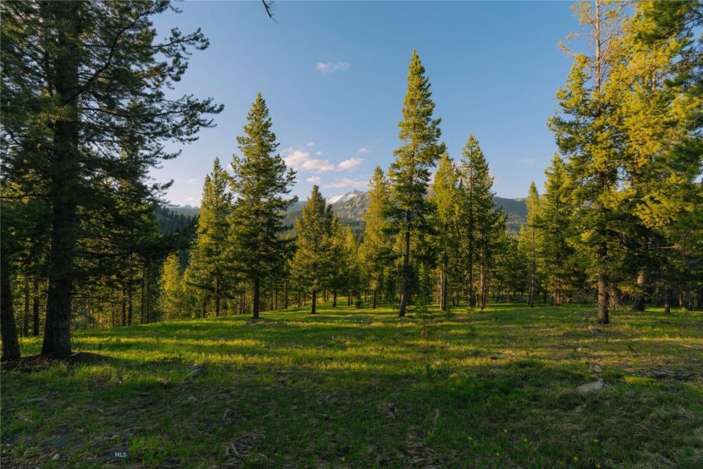 Lot 206 Outlook Trail, Big Sky MT 59716