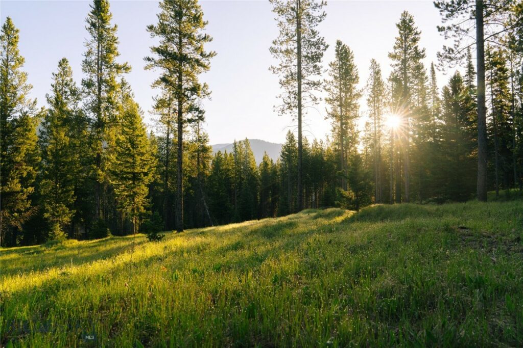 Lot 206 Outlook Trail, Big Sky MT 59716