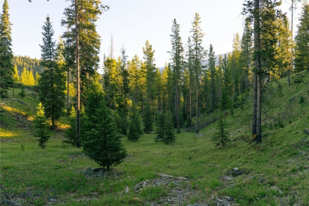 Lot 206 Outlook Trail, Big Sky MT 59716