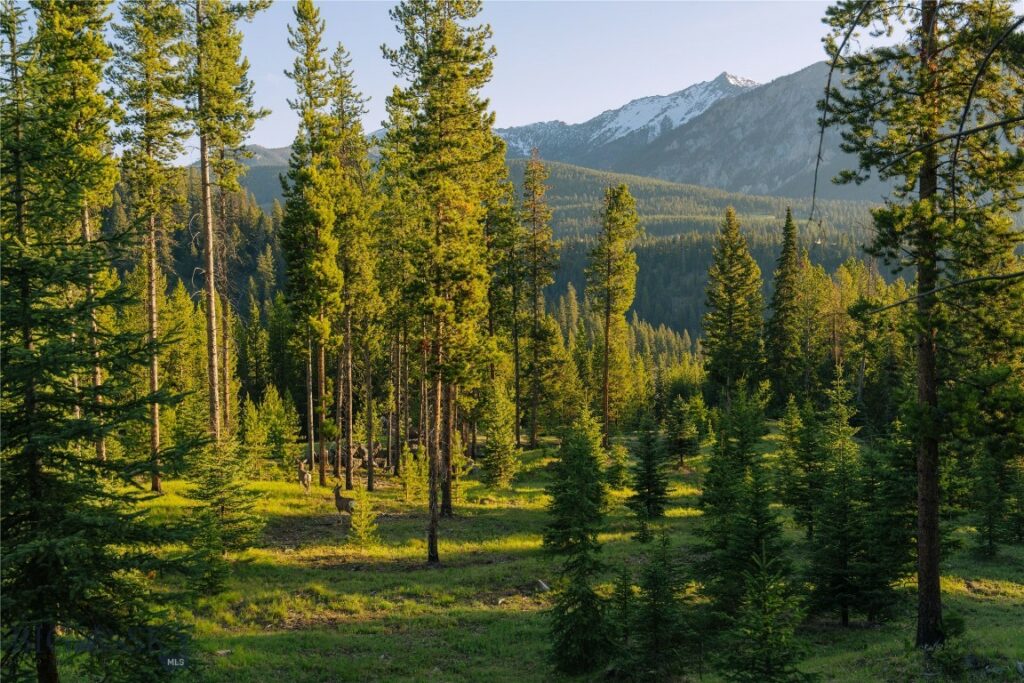 Lot 206 Outlook Trail, Big Sky MT 59716