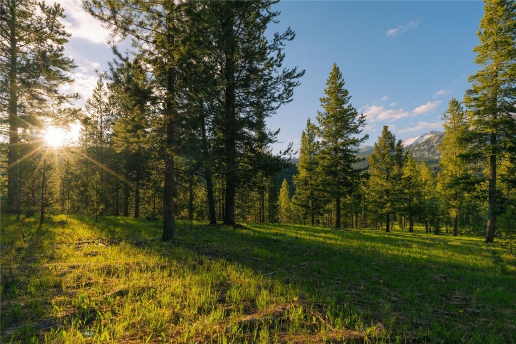 Lot 206 Outlook Trail, Big Sky MT 59716