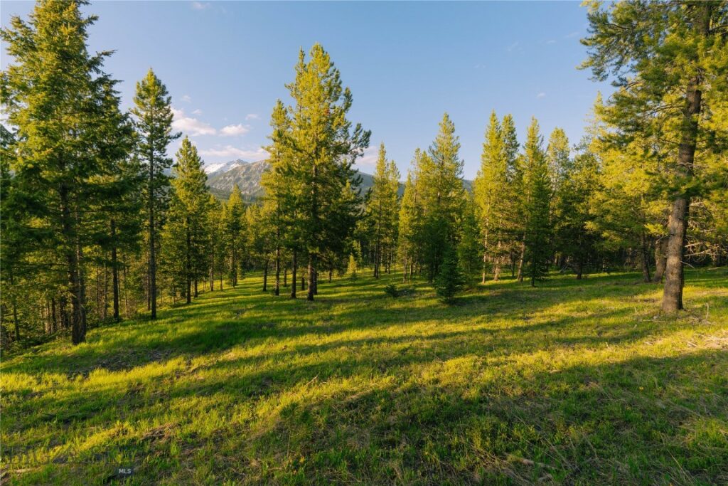 Lot 206 Outlook Trail, Big Sky MT 59716