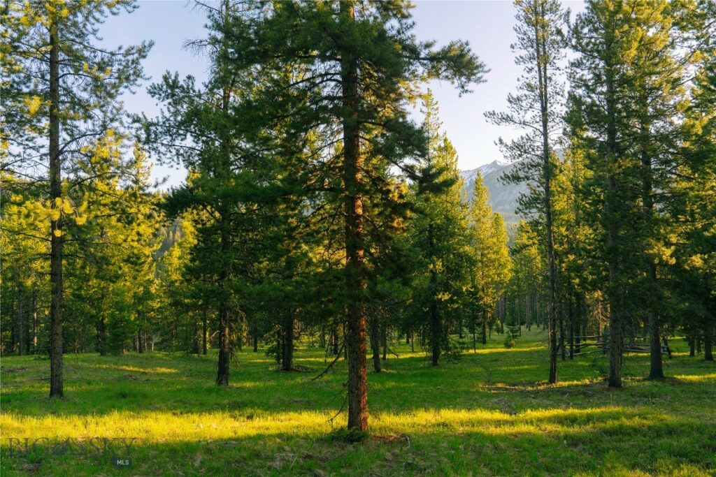 Lot 206 Outlook Trail, Big Sky MT 59716