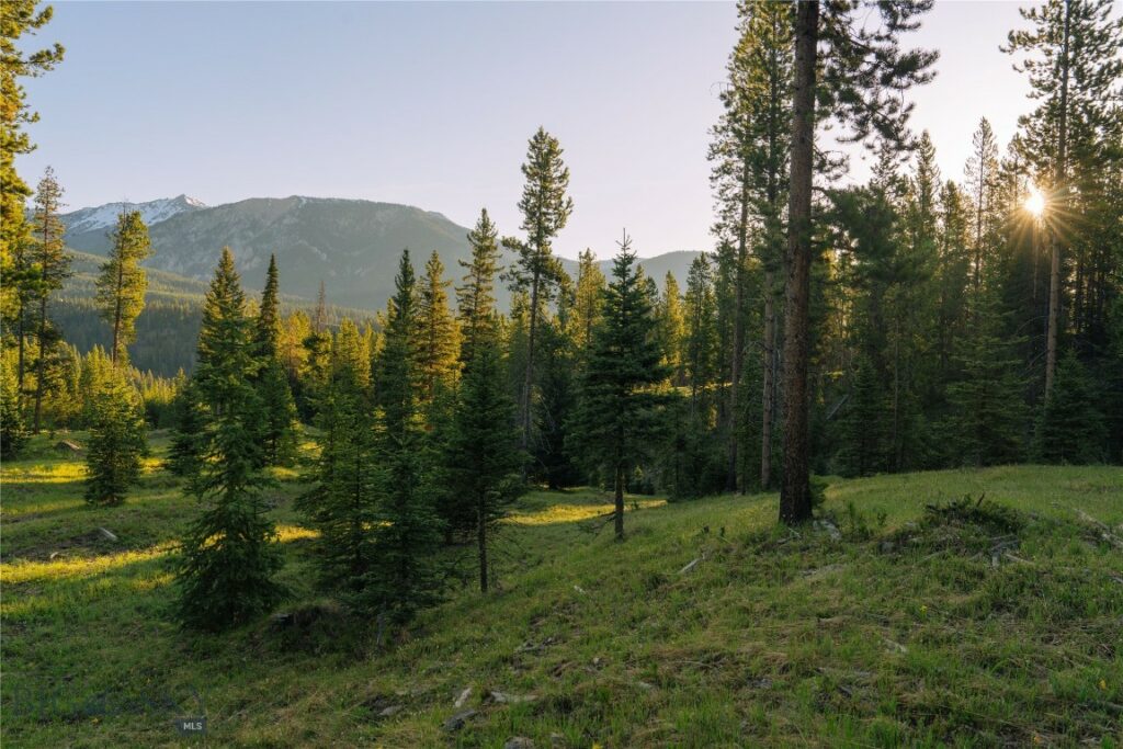 Lot 206 Outlook Trail, Big Sky MT 59716