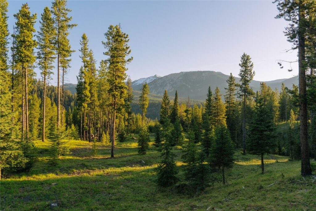 Lot 206 Outlook Trail, Big Sky MT 59716