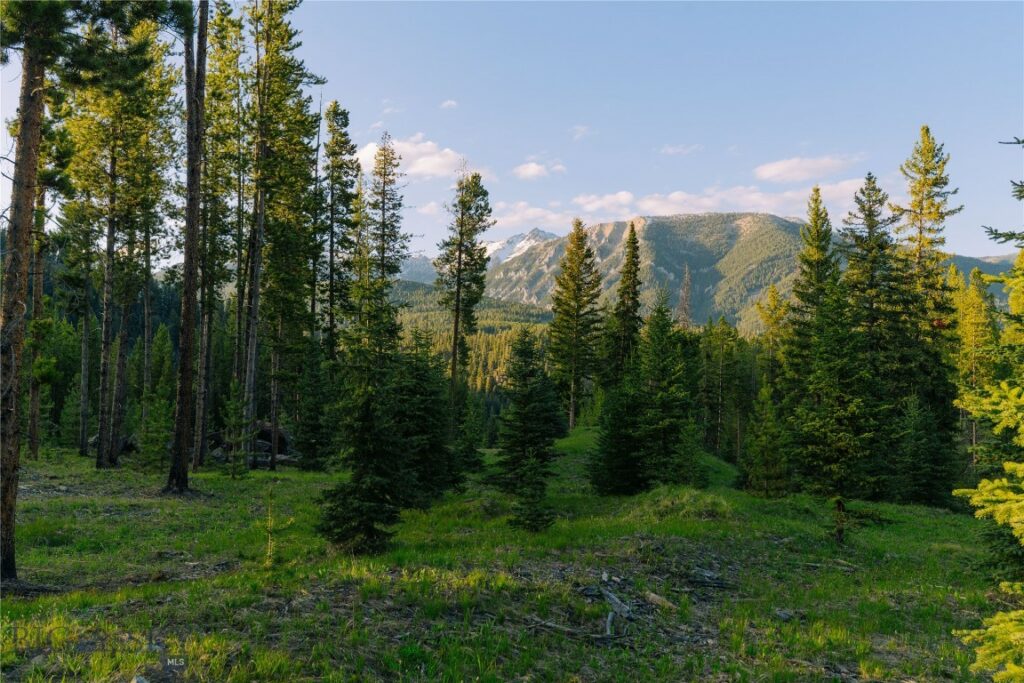 Lot 206 Outlook Trail, Big Sky MT 59716