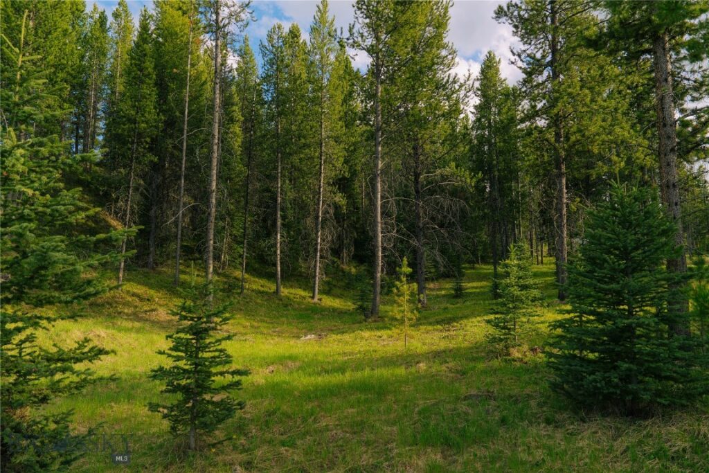 Lot 206 Outlook Trail, Big Sky MT 59716