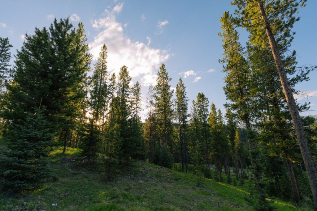 Lot 206 Outlook Trail, Big Sky MT 59716