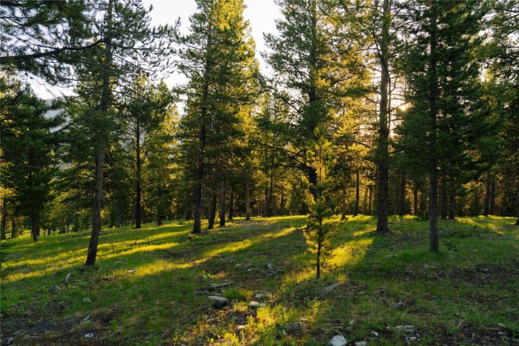 Lot 206 Outlook Trail, Big Sky MT 59716