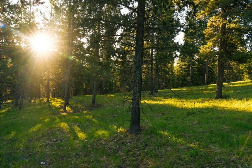 Lot 206 Outlook Trail, Big Sky MT 59716