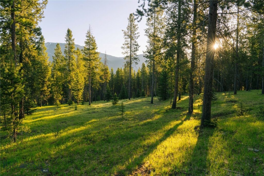 Lot 206 Outlook Trail, Big Sky MT 59716