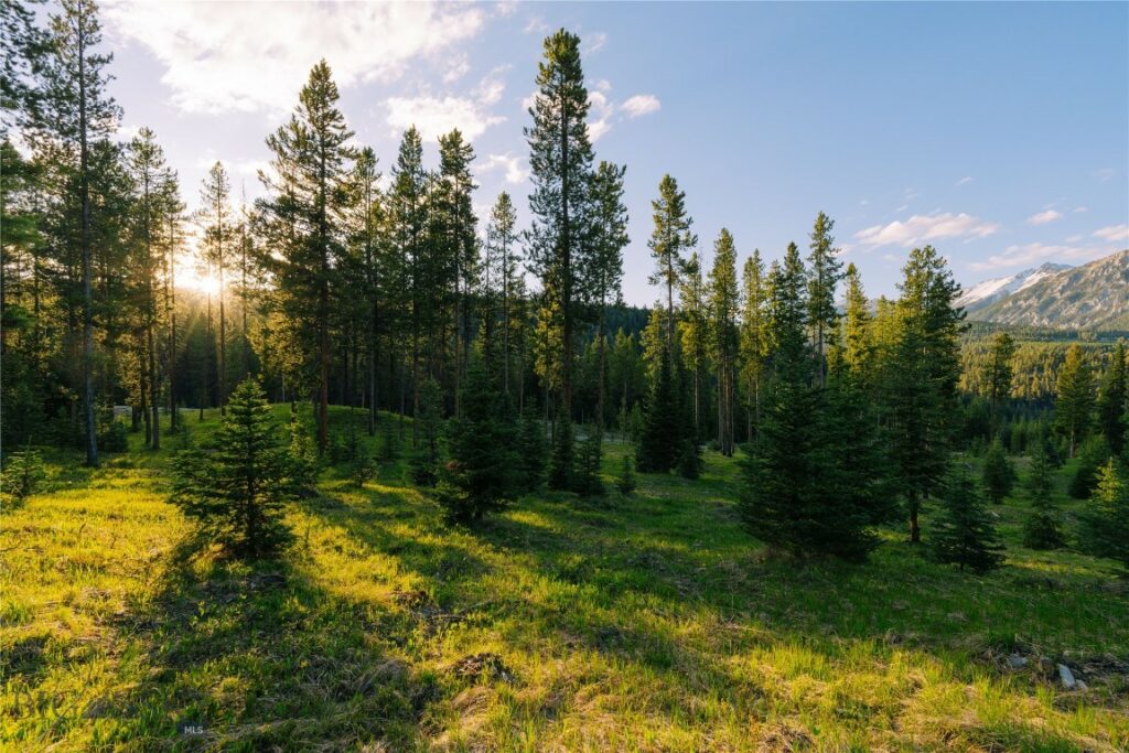 Lot 206 Outlook Trail, Big Sky MT 59716